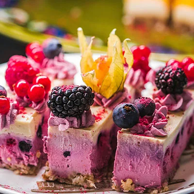 1月16日|最高速度21M/S，2025最新Singbox节点/V2ray节点/Shadowrocket节点/Clash节点/SSR节点免费节点订阅链接地址